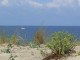 Ein Paradies für Surfer und Austernfans